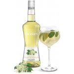 Monin La Liqueur Elderflower 20% 0,7 l (holá láhev) – Zboží Dáma