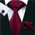 Manžetové knoflíčky s kravatou - Aiolos – Zboží Dáma