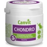 Canvit Chondro pro kocky 100 g – Hledejceny.cz