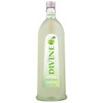 JELZIN SAURER APFEL 16,6% 1 l (holá láhev) – Sleviste.cz