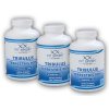 FitSport Nutrition Tribulus Terrestris 90% + Vitamin B6 + Zinc 720 kapslí