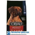 Cibau Dog Adult Maxi 12 kg – Zboží Mobilmania