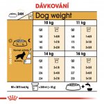 Royal Canin Cocker Adult 3 kg – Hledejceny.cz