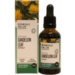 Botanicals For Life Extrakt z listů pampelišky 50 ml – Hledejceny.cz