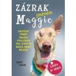 Zázrak jménem Maggie – Hledejceny.cz