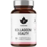 Verisol Collagen Beauty 120 kapslí – Hledejceny.cz