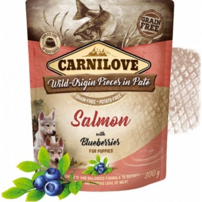 Carnilove Pouch Paté Salmon & Blueber Puppies 300 g – Zboží Dáma