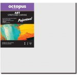Octopus Professional malířské plátno 350 g 20 x 30 cm – Zboží Dáma