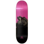 Nomad The Wolf – Sleviste.cz