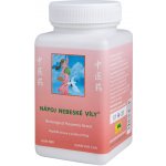 TCM Herbs Nápoj nebeské víly 100 g – Hledejceny.cz