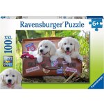 Ravensburger Oddych štěňata v kufru 100 dílků – Hledejceny.cz