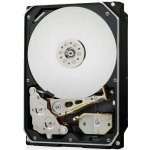WD Ultrastar DC HA340 10TB, 0B47062 – Zboží Živě