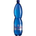 Magnesia neperlivá 6 x 1,5 l – Sleviste.cz