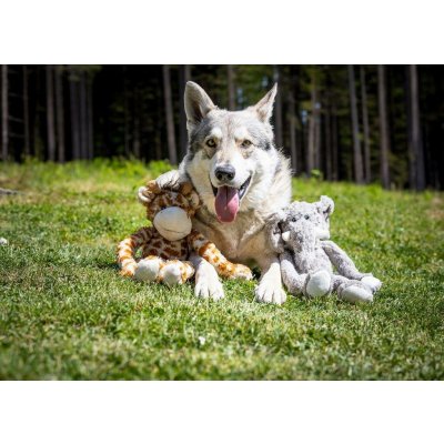 Multipet Swingin Safari slon plyš 48 cm – Sleviste.cz