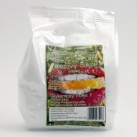 Xilovit Xylitol cukr březový 500 g – Hledejceny.cz