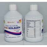 Swedish Nutra rybí kolagen 10.000 mg 500 ml – Hledejceny.cz