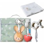 Taf Toys Sada hraček Hello Baby – Zboží Dáma