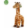 Plyšák žirafa 40 cm