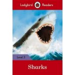 Sharks – Hledejceny.cz