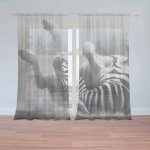 Záclony Válející se zebra: 2 ks - 150x250 cm - Sablio – Hledejceny.cz