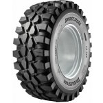 BRIDGESTONE Bridgestone VH Enliten 460/70-24 163A8 TL – Hledejceny.cz