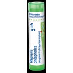 MAGNESIA PHOSPHORICA POR 5CH GRA 1X4G – Hledejceny.cz