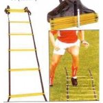 Sedco AGILITY frekvenční 6m – Zboží Dáma