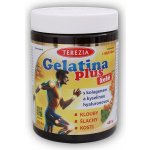 Terezia Company Gelatina plus 120 želé – Hledejceny.cz