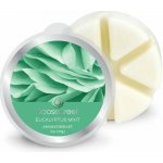 Goose Creek Candle Vonný Vosk Eucalyptus & Mint 59 g – Zboží Dáma