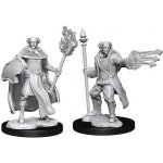 Dungeons & Dragons Nolzur s Marvelous Miniatures Multiclass Cleric & Wizard Male – Hledejceny.cz