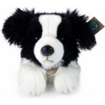 Eco- Friendly Rappa pes Border kolie ležící 45 cm – Sleviste.cz