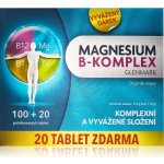 Glenmark Magnesium B-komplex 120 tablet – Zboží Mobilmania