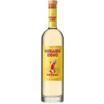 Gusano Rojo 38% 0,7 l (holá láhev) – Zboží Dáma