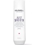Goldwell Dualsenses Just Smooth Taming Shampoo 250 ml – Zboží Mobilmania