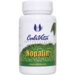 CaliVita Nopalin 200 tablet – Hledejceny.cz
