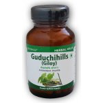 Herbal Hills Guduchihills 60 kapslí – Hledejceny.cz