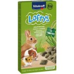 Vitakraft all Rodent pochoutka Loftys 100 g – Zbozi.Blesk.cz