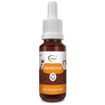 AromaFauna Směs éterických olejů Endoparazin 5 ml – Hledejceny.cz