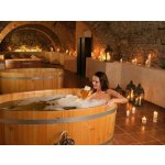 Zlínsko: Pivní wellness na zámku Wichterle – Hledejceny.cz