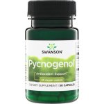 Swanson Pycnogenol 50 mg 50 kapslí – Hledejceny.cz