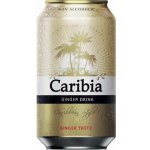 Ginger Beer zázvorová limonáda 325 ml – Zboží Dáma