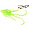 Návnada a nástraha Berkley Powerbait Nymph 1" Green Chartreuse 12 ks