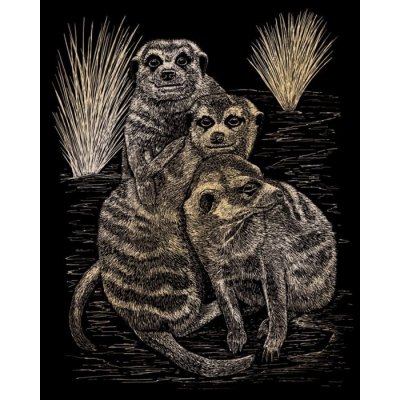 Škrabací obrázek Surikaty zlaté – Zboží Dáma