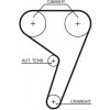 Rozvody motoru Ozubený řemen GATES 5433XS GT 5433XS