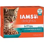 Iams Kitten delights chicken in gravy 12 x 85 g – Zbozi.Blesk.cz