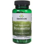 Swanson Full Spectrum Boswellia Double Strength 800 mg 60 kapslí – Hledejceny.cz