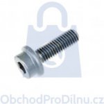 Šroub s válcovou hlavou s vnitřním šestihranem s límcem RIPP 10.9, pozinkovaný M5 x 10, balení 1 ks – Hledejceny.cz