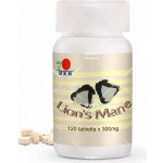 DXN Lion`s Mane 120 tablet – Hledejceny.cz