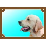 Dafiko Tabulka Zlatý retriever – Sleviste.cz