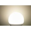 Žárovka Ecolite LED žárovka -E27- 10W denní bílá